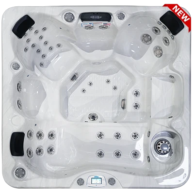 Avalon-X EC-849LX hot tubs for sale in Corvallis
